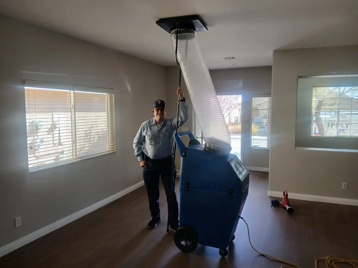 Professional Dryer Vent Cleaning work inside a Inverness home